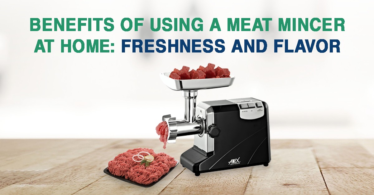 meat mincer price in pakistan