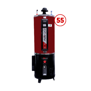 Fischer Electric and Gas Geyser